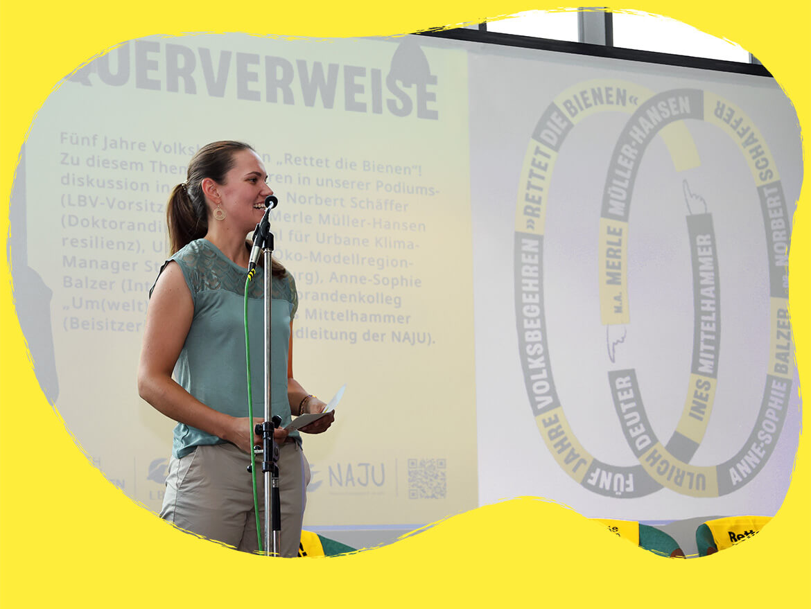 Eindrücke von den Querverweisen in Augsburg